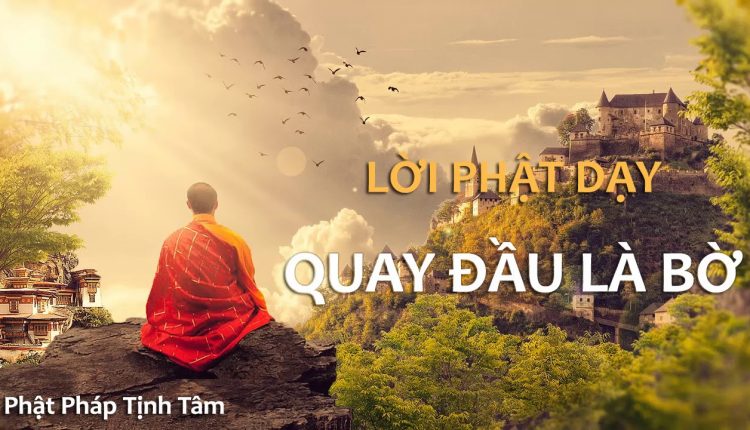QUAY ĐẦU-tinviettoday.vn