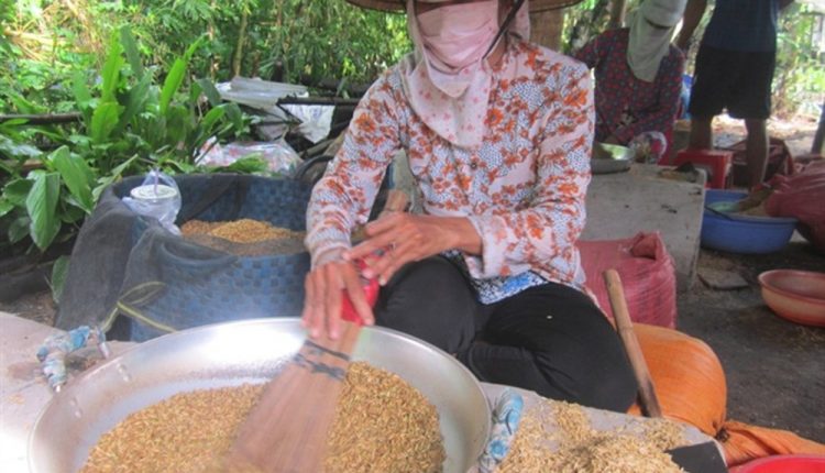cốm dẹp Phước Quới 1