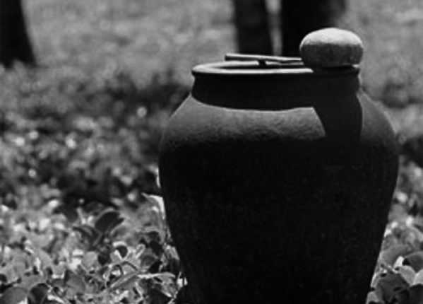 lu-Qug-Binh_thumb_600