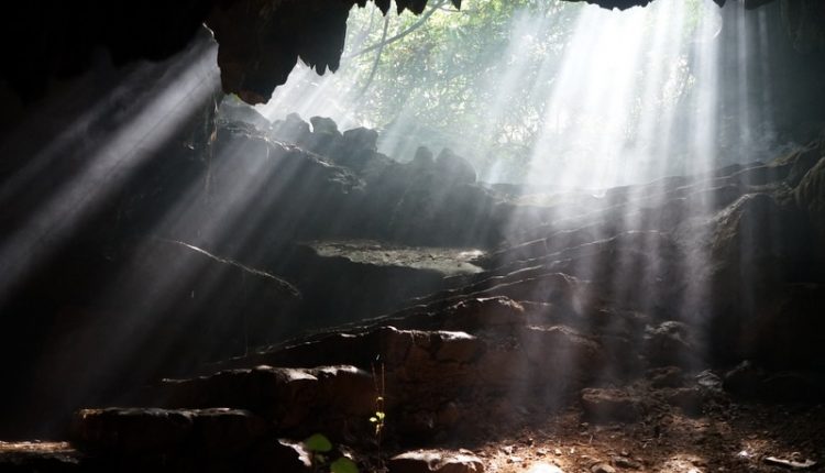 động
