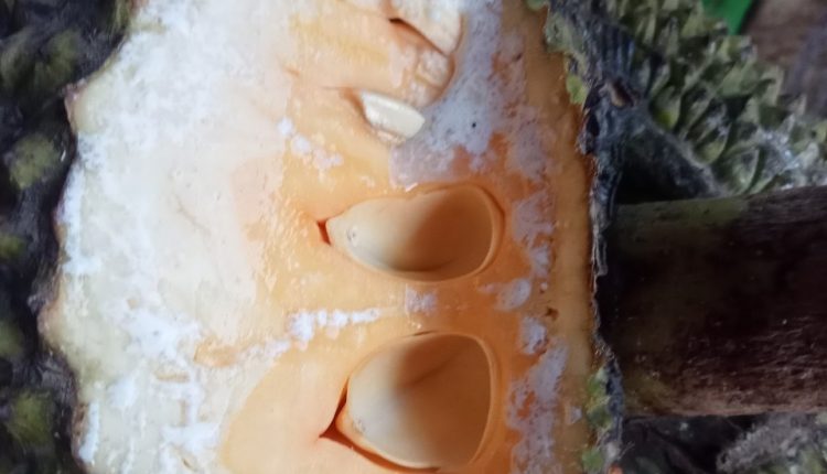 c28d5504f210074e5e01