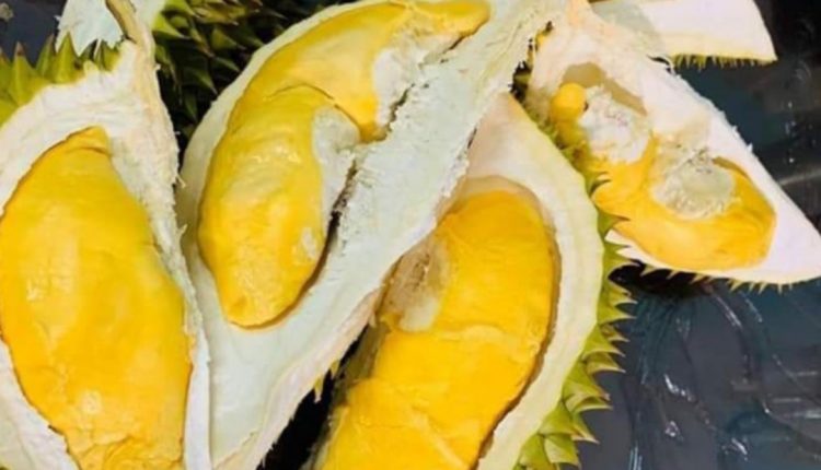 sau-rieng-mit-thai-sach-quan-5-4