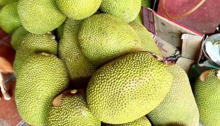 sau-rieng-mit-thai-sach-quan-5-6