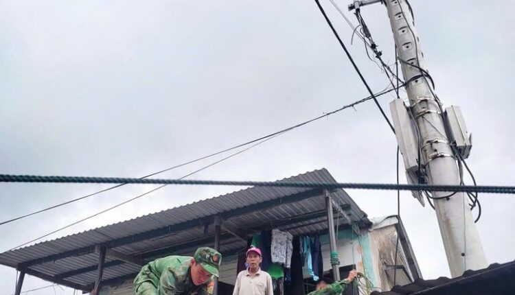 bao-7