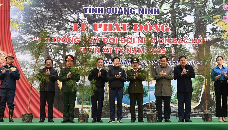 trong-cay-1