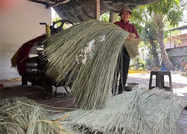 hon-300-nam-giu-lua-truyen-thong-o-lang-nghe-chieu-coi-hoai-nhon-3