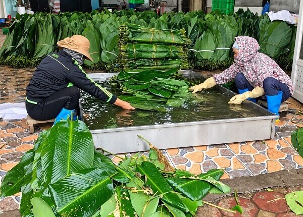 tranh-khuc-giu-hon-nghe-mo-loi-phat-trien2 (1)